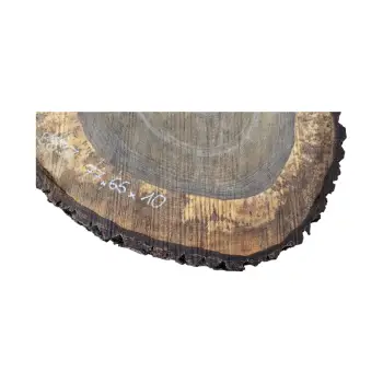 Plaster Orzecha Włoskiego po Suszarni 77x66x10cm