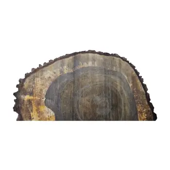 Plaster Orzecha Włoskiego po Suszarni 77x66x10cm