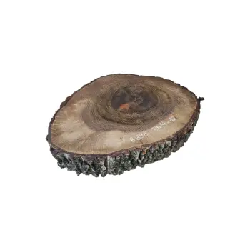 Plaster Orzecha Włoskiego po Suszarni 79x64x10cm