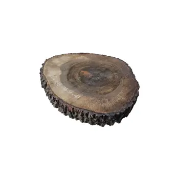 Plaster Orzecha Włoskiego po Suszarni 79x64x10cm