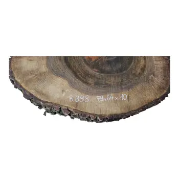 Plaster Orzecha Włoskiego po Suszarni 79x64x10cm