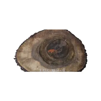 Plaster Orzecha Włoskiego po Suszarni 79x64x10cm