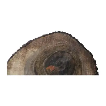 Plaster Orzecha Włoskiego po Suszarni 79x64x10cm