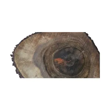 Plaster Orzecha Włoskiego po Suszarni 79x64x10cm