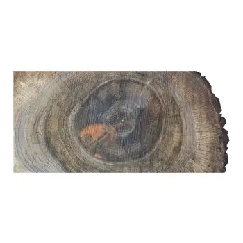 Plaster Orzecha Włoskiego po Suszarni 79x64x10cm