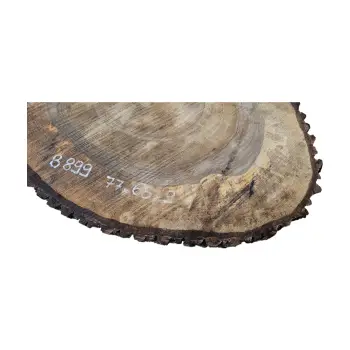 Plaster Orzecha Włoskiego po Suszarni 77x65x9cm