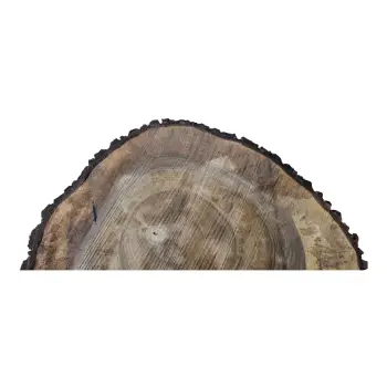 Plaster Orzecha Włoskiego po Suszarni 77x65x9cm