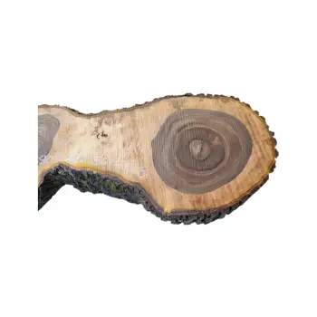 Plaster Orzecha Włoskiego po Suszarni 122x50/47x8cm