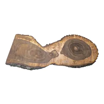 Plaster Orzecha Włoskiego po Suszarni 122x50/47x8cm