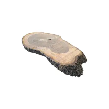 Plaster Orzecha Włoskiego po Suszarni 112x55x10cm