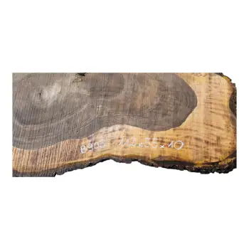 Plaster Orzecha Włoskiego po Suszarni 112x55x10cm