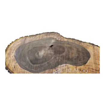 Plaster Orzecha Włoskiego po Suszarni 112x55x10cm