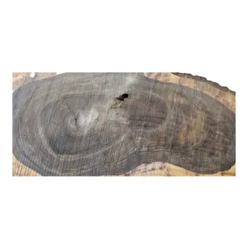 Plaster Orzecha Włoskiego po Suszarni 112x55x10cm