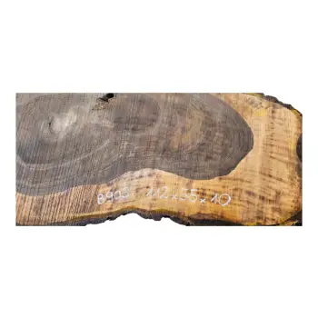 Plaster Orzecha Włoskiego po Suszarni 112x55x10cm