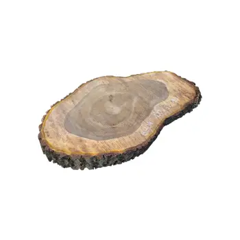 Plaster Orzecha Włoskiego po Suszarni 100x62x11cm