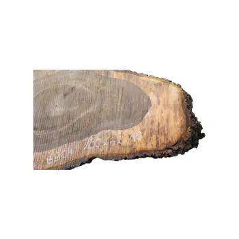 Plaster Orzecha Włoskiego po Suszarni 100x62x11cm