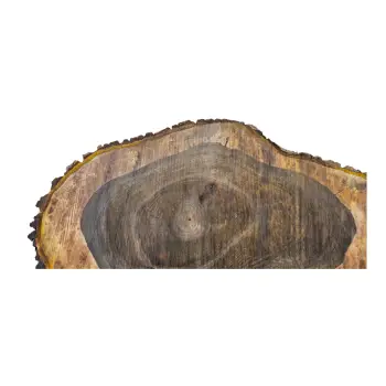 Plaster Orzecha Włoskiego po Suszarni 100x62x11cm