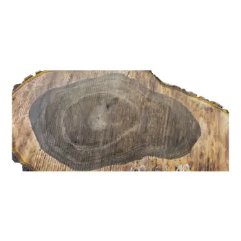 Plaster Orzecha Włoskiego po Suszarni 100x62x11cm