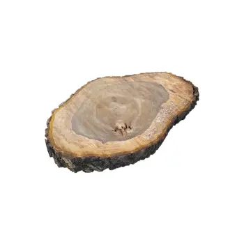 Plaster Orzecha Włoskiego po Suszarni 93x63x11cm