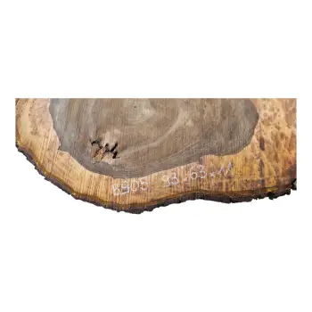 Plaster Orzecha Włoskiego po Suszarni 93x63x11cm