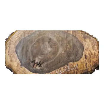 Plaster Orzecha Włoskiego po Suszarni 93x63x11cm