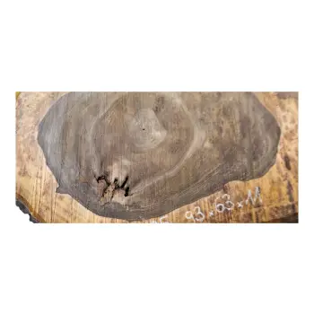 Plaster Orzecha Włoskiego po Suszarni 93x63x11cm