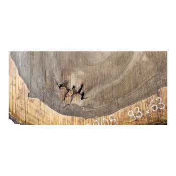 Plaster Orzecha Włoskiego po Suszarni 93x63x11cm