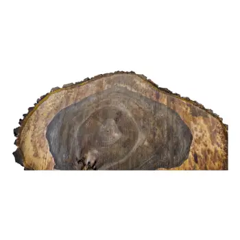 Plaster Orzecha Włoskiego po Suszarni 93x63x11cm