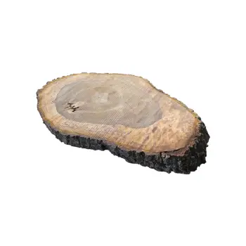 Plaster Orzecha Włoskiego po Suszarni 93x63x11cm