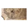 Plaster Orzecha Włoskiego po Suszarni 88x64x10cm