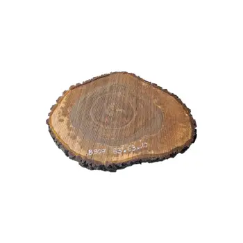 Plaster Orzecha Włoskiego po Suszarni 83x63x10cm