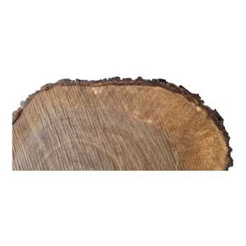 Plaster Orzecha Włoskiego po Suszarni 83x63x10cm