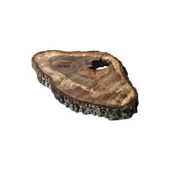 Plaster Orzecha Włoskiego po Suszarni 79x54x8cm