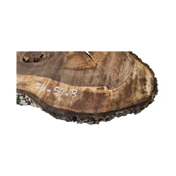 Plaster Orzecha Włoskiego po Suszarni 79x54x8cm