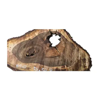 Plaster Orzecha Włoskiego po Suszarni 79x54x8cm