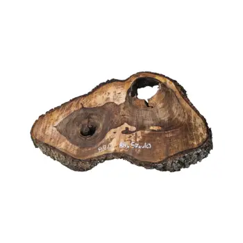 Plaster Orzecha Włoskiego po Suszarni 88x57x10cm