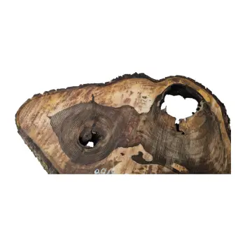 Plaster Orzecha Włoskiego po Suszarni 88x57x10cm