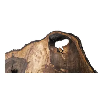 Plaster Orzecha Włoskiego po Suszarni 94x63x10cm