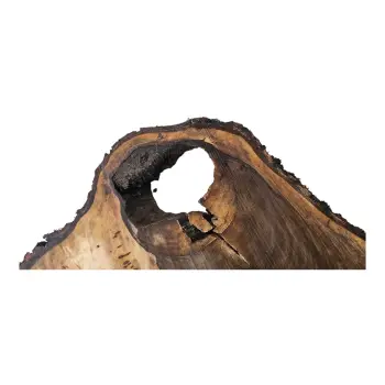 Plaster Orzecha Włoskiego po Suszarni 94x63x10cm