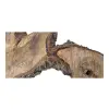 Plaster Orzecha Włoskiego po Suszarni 102x73x7cm