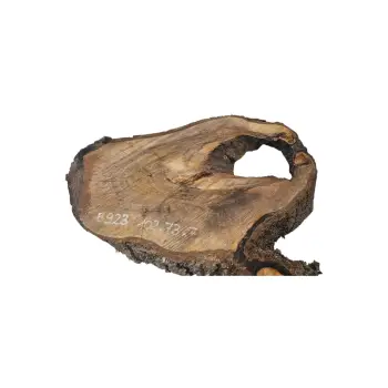 Plaster Orzecha Włoskiego po Suszarni 102x73x7cm