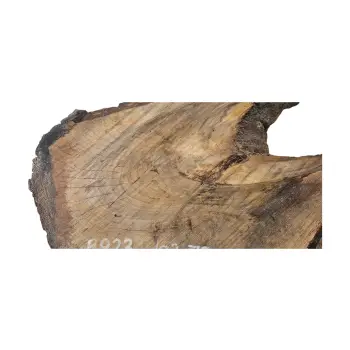 Plaster Orzecha Włoskiego po Suszarni 102x73x7cm