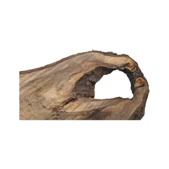 Plaster Orzecha Włoskiego po Suszarni 102x73x7cm