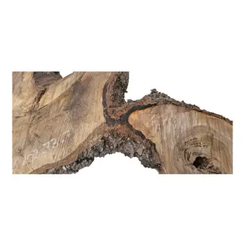 Plaster Orzecha Włoskiego po Suszarni 102x73x7cm