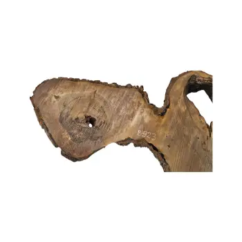 Plaster Orzecha Włoskiego po Suszarni 102x73x7cm
