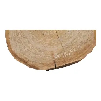 Plaster Dębowy 89x77x8cm Dąb po suszarni