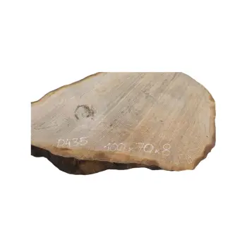 Plaster Dębowy 100x70x8cm Dąb po suszarni