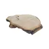 Plaster Dębowy 103x70x8cm Dąb po suszarni
