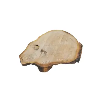 Plaster Dębowy 103x70x8cm Dąb po suszarni