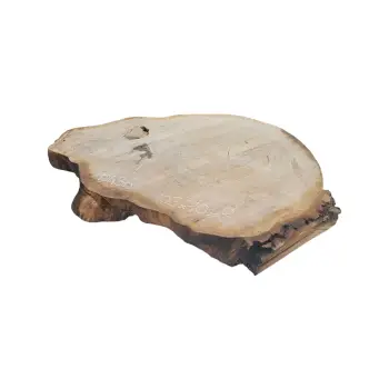 Plaster Dębowy 103x70x8cm Dąb po suszarni
